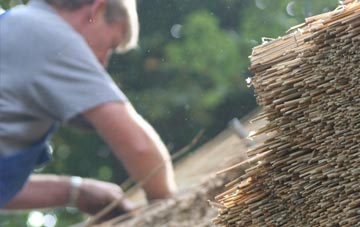 professional Pant Mawr thatchers